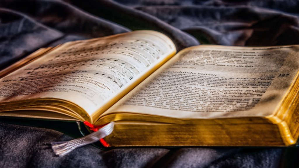 İşletme tezi yazımında kullanılan yöntemler